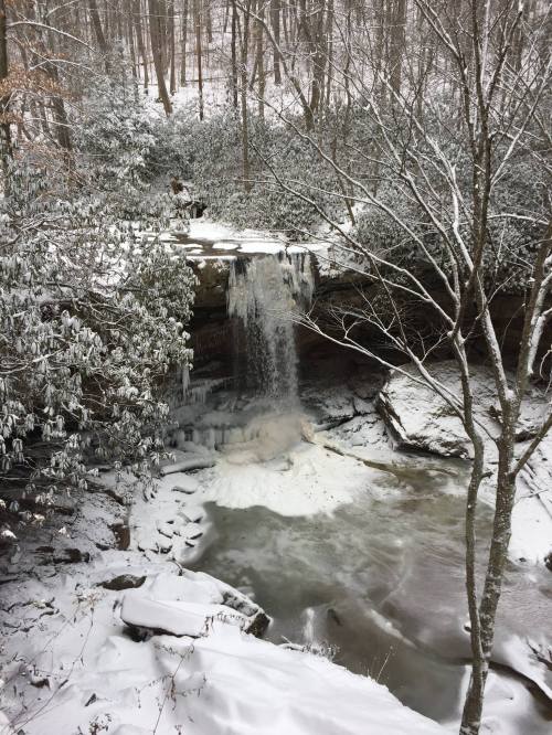 A snowy landscape featuring a waterfall cascading into a frozen pool, surrounded by trees and icy rocks.