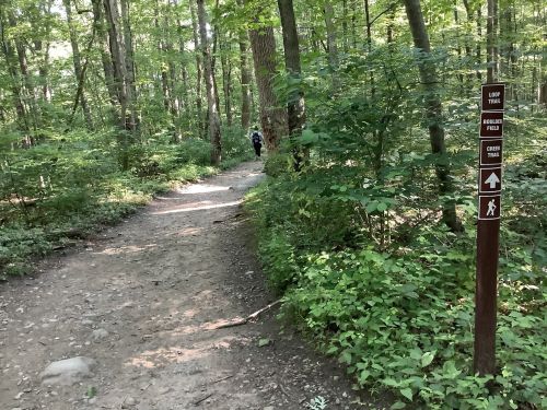 A dirt path through a lush green forest, with a trail sign indicating directions for Loop Trail and Creek Trail.