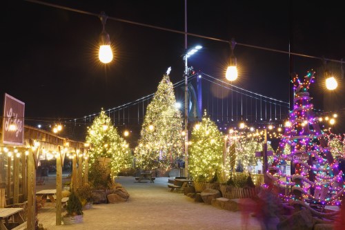 A festive night scene featuring illuminated Christmas trees and string lights, with a bridge in the background.