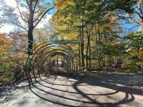 A curved metal archway in a colorful autumn forest, leading to a pathway surrounded by trees and sunlight.