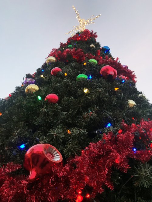 A decorated Christmas tree with colorful ornaments and lights, topped with a star, against a clear sky.