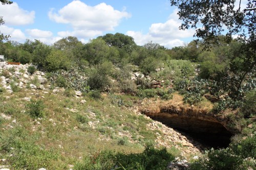 A rocky landscape with lush greenery and a cave entrance surrounded by trees and cacti under a partly cloudy sky.
