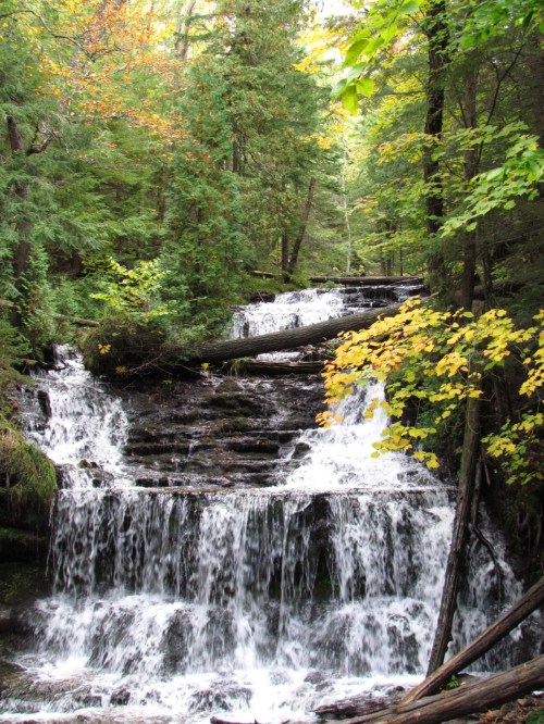 A serene waterfall cascades through a lush forest, surrounded by vibrant green trees and autumn-colored leaves.