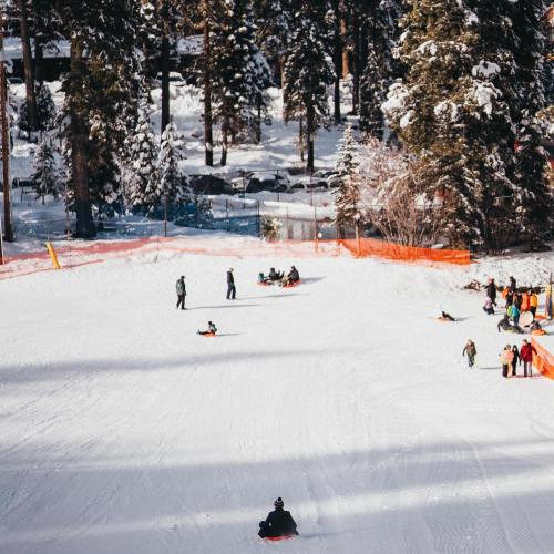A snowy hill with people sledding and playing in the snow, surrounded by tall trees and an orange safety fence.