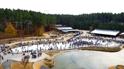 Aerial view of a busy outdoor ice skating rink surrounded by trees and buildings, with many people skating and enjoying the area.