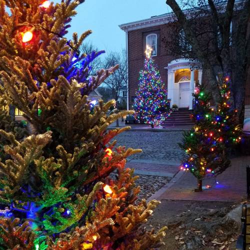 Colorful Christmas trees adorned with lights in a festive outdoor setting, with a building in the background.