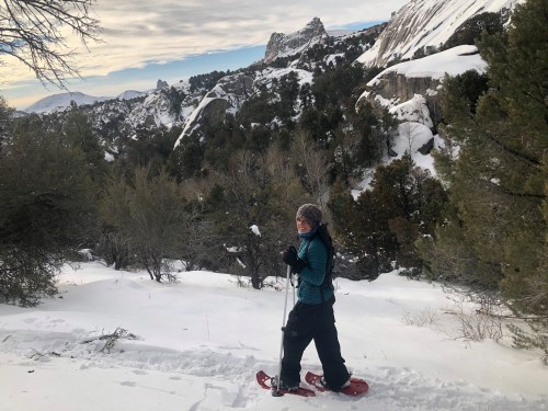 A person snowshoeing through a snowy landscape with mountains and trees in the background.