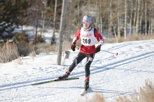 A skier in a red and white outfit glides on a snowy trail, wearing bib number 209, surrounded by trees.