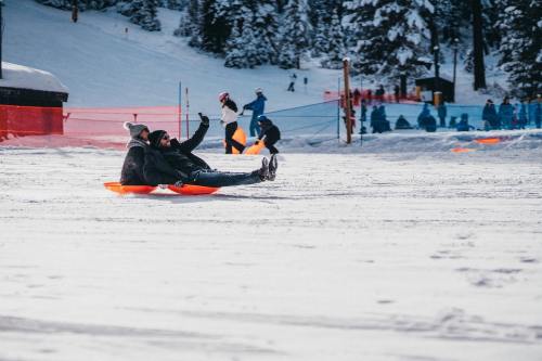 Two people sledding down a snowy hill, surrounded by others enjoying winter activities in a scenic snowy landscape.