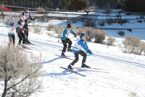 A group of children skiing down a snowy slope, surrounded by shrubs and trees in a winter landscape.