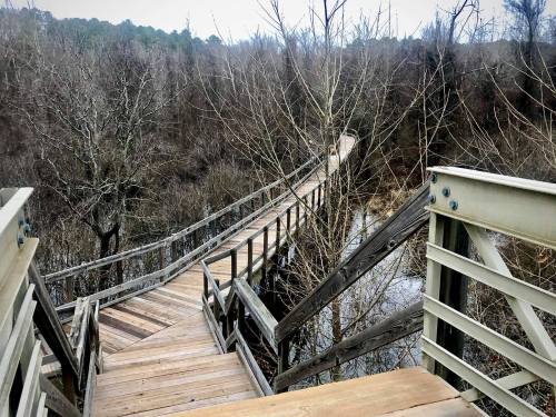 A wooden boardwalk winding through a bare, wooded area beside a body of water on a cloudy day.