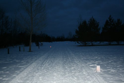 A snowy path at dusk, lined with glowing lanterns, surrounded by trees in a serene winter landscape.