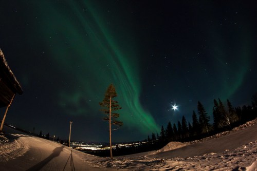 A stunning night sky featuring the Northern Lights, a bright moon, and a snowy landscape with silhouetted trees.