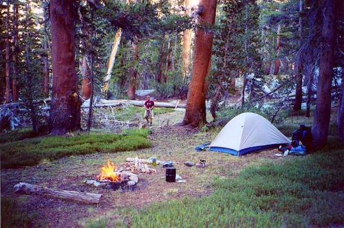 A campsite in a forest with a tent, a campfire, and a person standing nearby among tall trees and greenery.