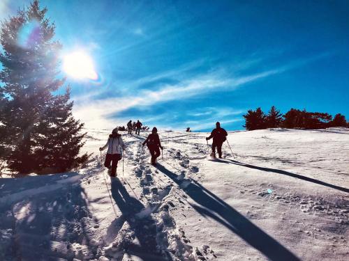 A group of people hiking up a snowy hill under a bright blue sky with the sun shining. Pine trees are visible in the background.