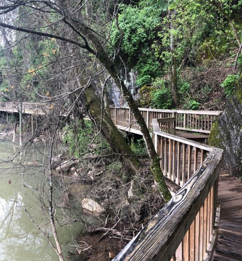 A wooden boardwalk winds through a lush, green landscape alongside a calm river, surrounded by trees and rocks.