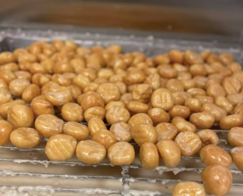 A close-up of numerous golden-brown, glossy chestnuts on a metal rack.