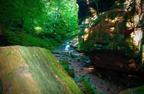 A serene forest scene with a rocky landscape, a small stream flowing through lush greenery and sunlight filtering through trees.