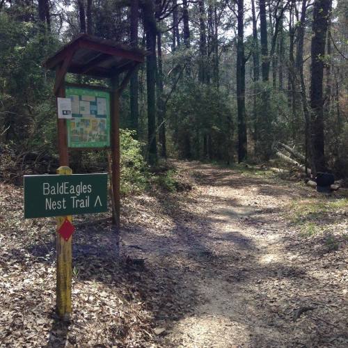 A trail sign for "Bald Eagles Nest Trail" in a wooded area, with a map nearby and a clear path ahead.