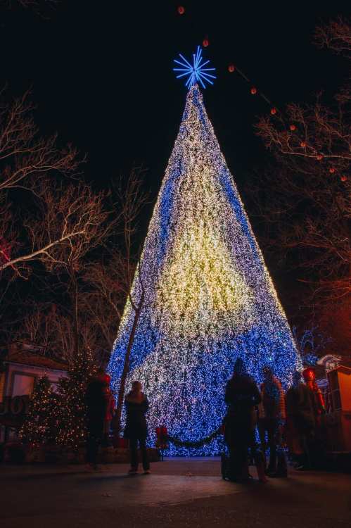 A large, illuminated Christmas tree shines brightly at night, surrounded by people and festive decorations.