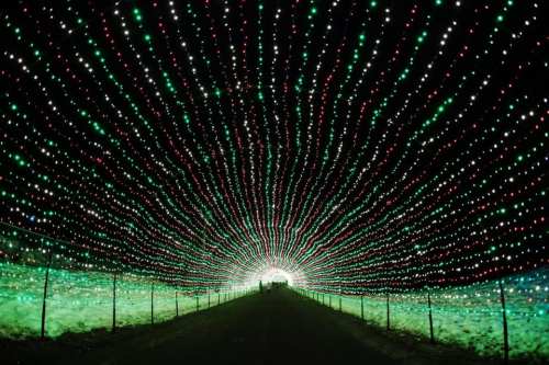 A tunnel of colorful lights in red and green, creating a festive atmosphere leading to a bright exit.