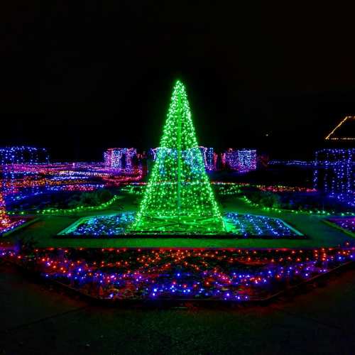 A brightly lit green Christmas tree surrounded by colorful lights in a festive outdoor display at night.