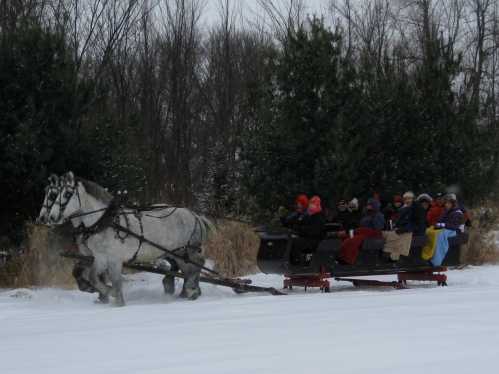 A horse-drawn sleigh carries a group of people through a snowy landscape, surrounded by trees.