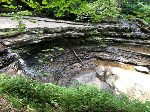 A serene forest scene featuring a small waterfall cascading over layered rocks into a calm pool surrounded by greenery.