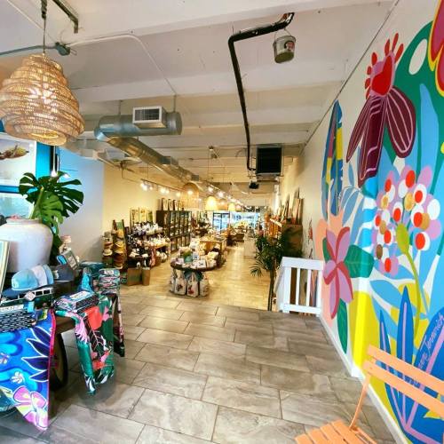 Brightly lit store interior featuring colorful wall art, plants, and various products displayed on shelves.