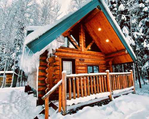 A cozy log cabin with a snow-covered roof, surrounded by trees in a winter landscape.
