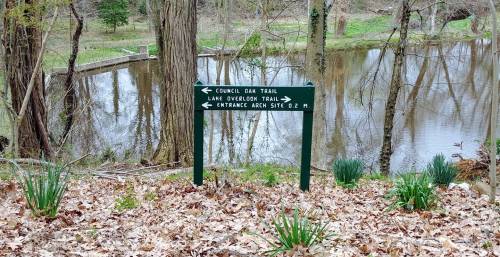 A green sign with trail directions near a serene pond, surrounded by trees and fallen leaves.