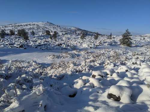 A snowy landscape with rolling hills, scattered rocks, and sparse trees under a clear blue sky.