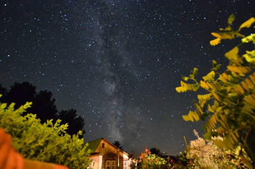 A starry night sky filled with stars and the Milky Way, framed by trees and a rustic house in the foreground.