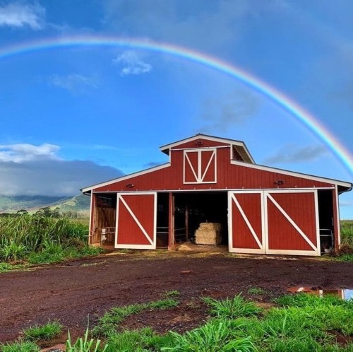 A red barn under a vibrant rainbow against a blue sky, surrounded by green grass and distant hills.
