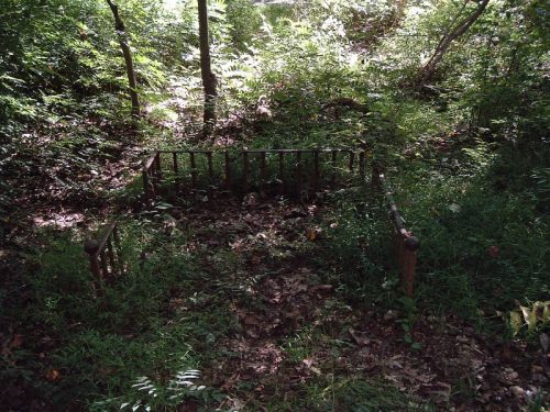 An old, rusted bed frame partially covered by grass and foliage in a dense, overgrown forest.
