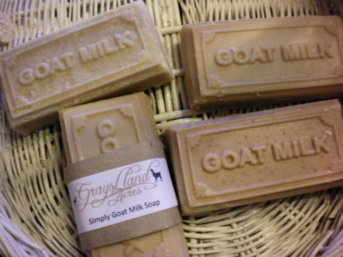 A basket containing several bars of goat milk soap, labeled "Simply Goat Milk Soap" from Grays Land Acres.
