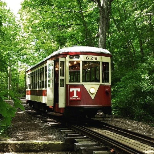 A vintage red and white trolley car on wooden tracks surrounded by lush green trees.