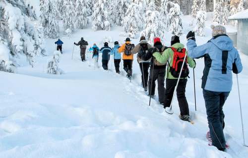 A group of people snowshoeing through a snowy landscape, surrounded by trees covered in snow.