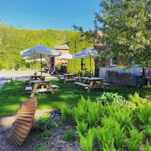Outdoor seating area with picnic tables under umbrellas, surrounded by greenery and trees on a sunny day.