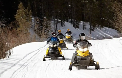 A group of snowmobiles riding on a snowy trail surrounded by trees in a winter landscape.