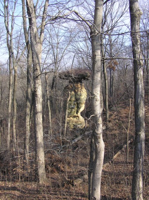 A tall rock formation stands among bare trees in a wooded area, with a flat top resembling a table.