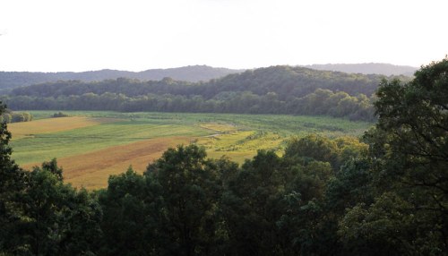 A scenic view of rolling hills and fields, with lush greenery and a winding path under a soft, hazy sky.