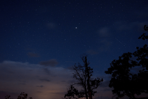 A night sky filled with stars, featuring a bright planet and silhouetted trees against a dark blue backdrop.