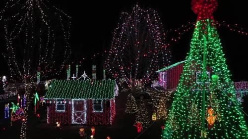 A festive display of colorful Christmas lights illuminating a yard with a decorated tree and holiday-themed decorations.