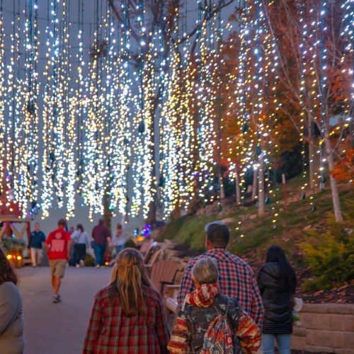 A festive pathway adorned with hanging lights, people walking, and autumn foliage in the background.
