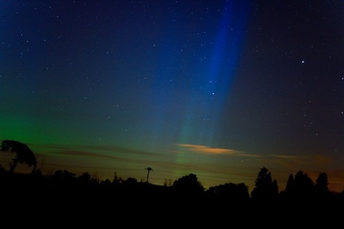 A night sky filled with stars, featuring blue and green auroras against a dark silhouette of trees.