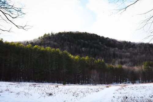A snowy landscape with a forested hill in the background under a partly cloudy sky.