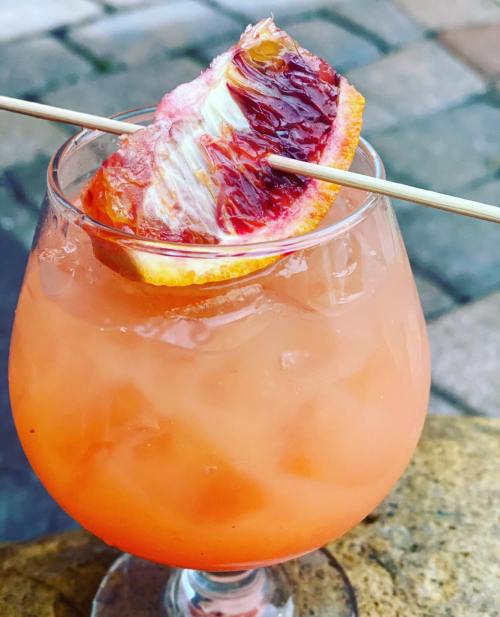 A refreshing cocktail in a glass, garnished with a dried blood orange slice and served over ice.