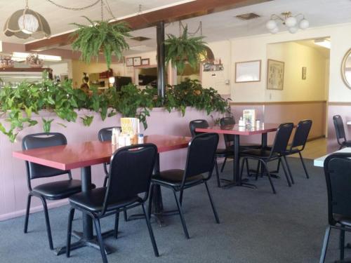 A cozy restaurant interior with empty tables, black chairs, and green plants, creating a welcoming atmosphere.