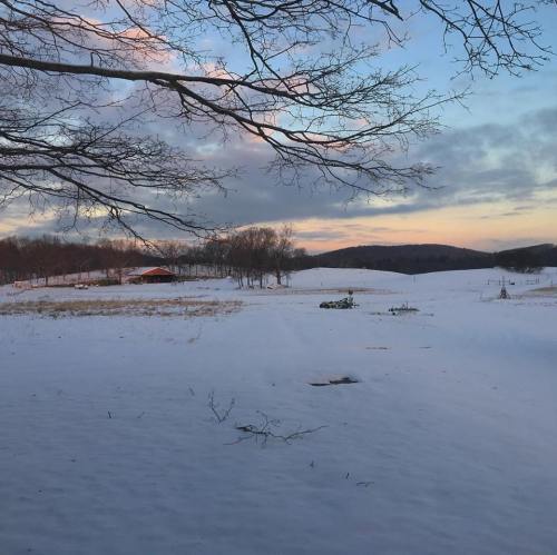 A serene winter landscape with a snowy field, bare trees, and a colorful sunset in the background.